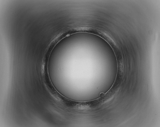 X0000116380491200912021522