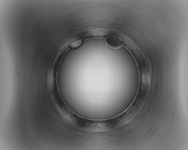 X0000116380492200912021522