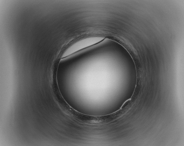 X0000116380496200912021522
