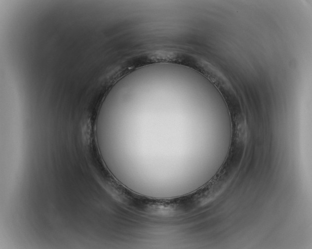 X0000116380498200912021522