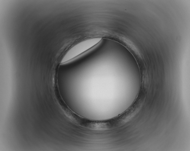 X0000116380501200912021522