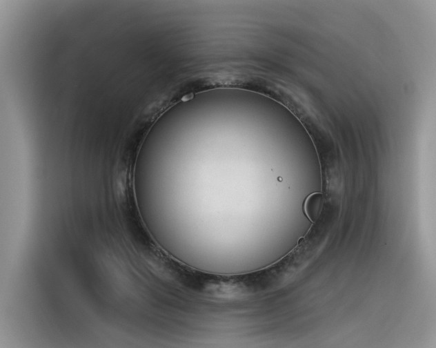 X0000116380503200912021522