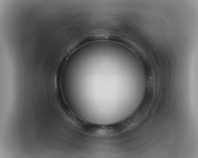 X0000116380504200912021522