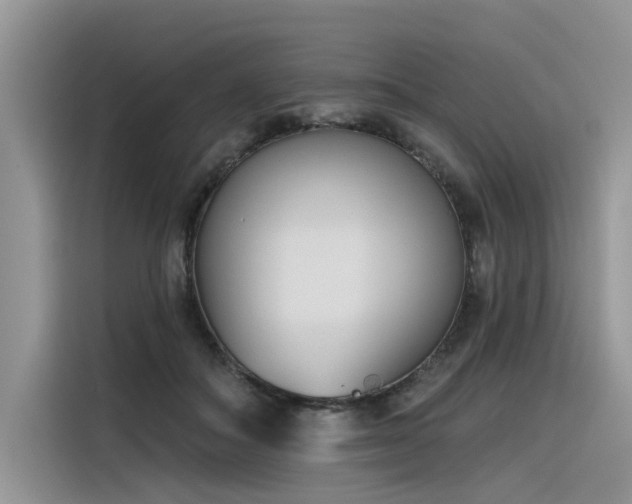 X0000116380506200912021522