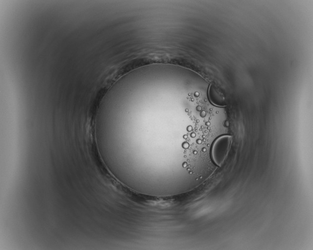 X0000116380511200912021522