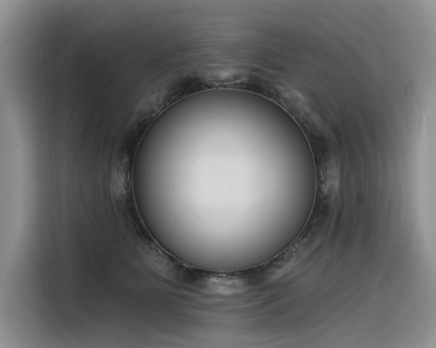 X0000116380515200912021522