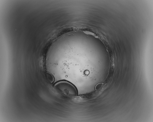 X0000116380519200912021522