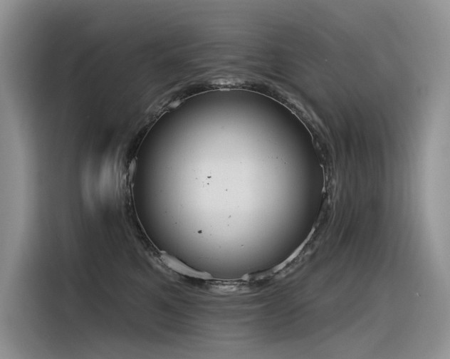 X0000116380521200912021522