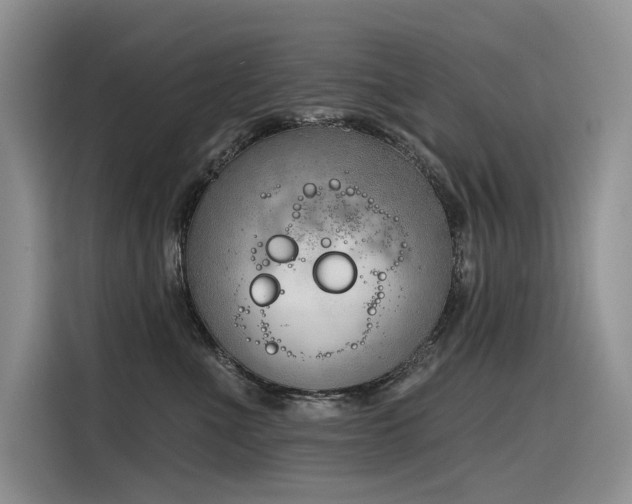 X0000116380523200912021522