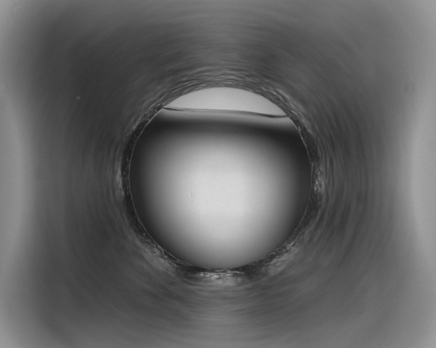 X0000116380524200912021522