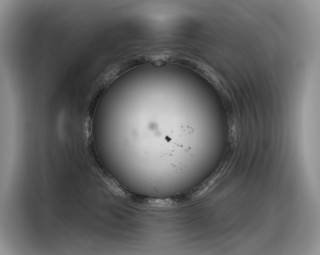X0000116380525200912021522