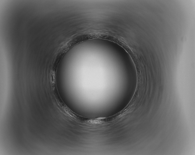 X0000116380528200912021522