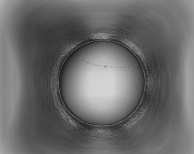 X0000116380529200912021521