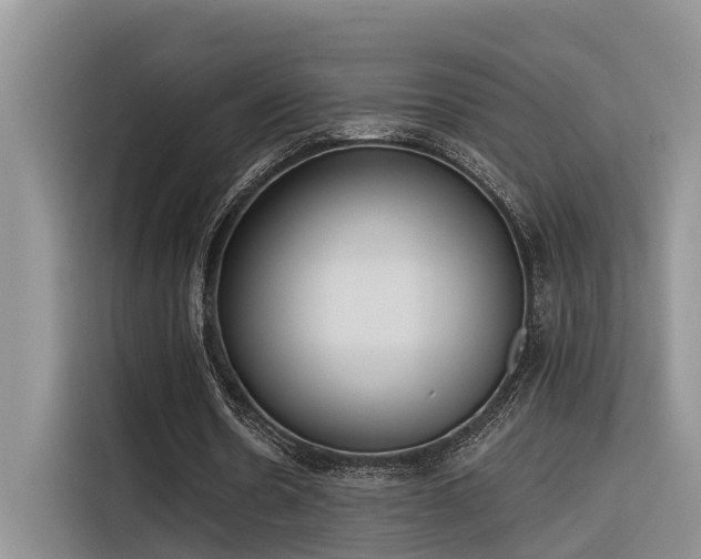 X0000116380530200912021521