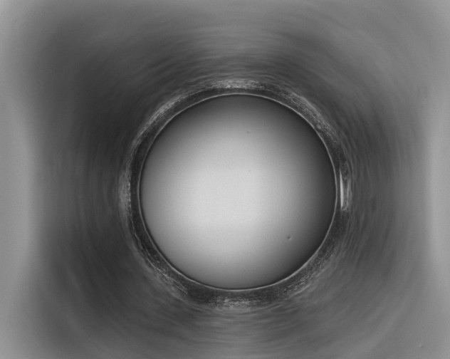 X0000116380531200912021521