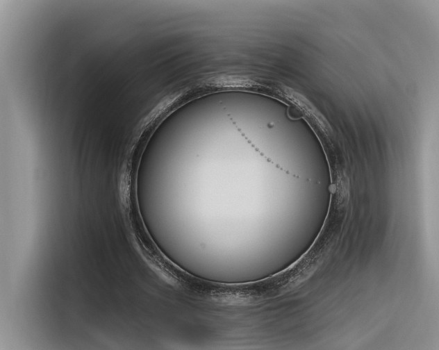 X0000116380533200912021521