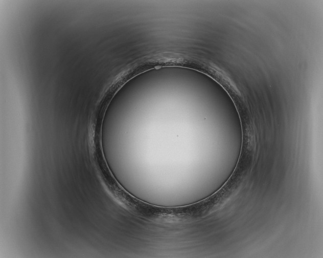 X0000116380538200912021521
