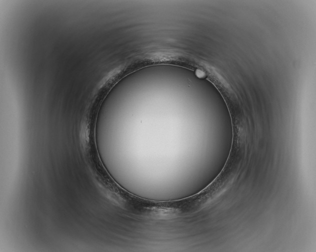 X0000116380539200912021521