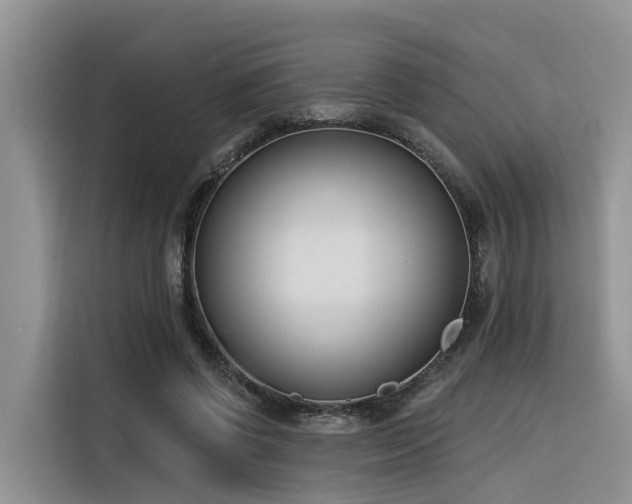 X0000116380542200912021521