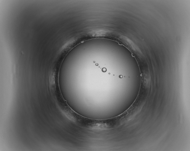 X0000116380543200912021521