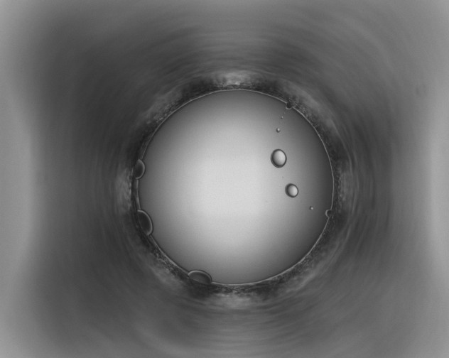 X0000116380545200912021522
