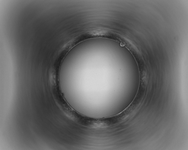 X0000116380547200912021522