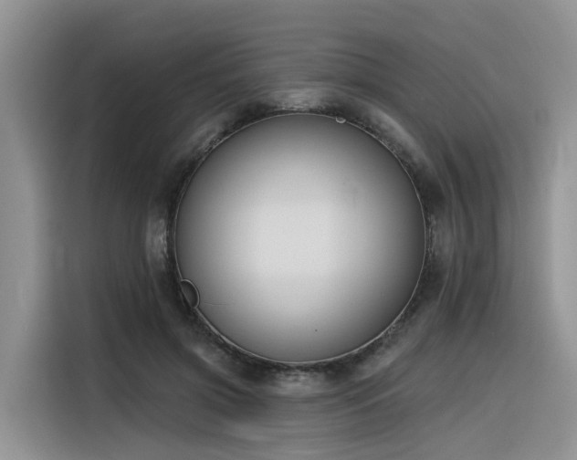 X0000116380549200912021522