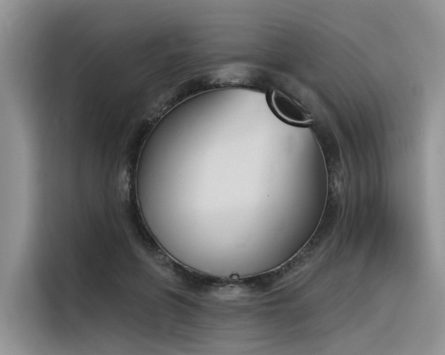 X0000116380551200912021522