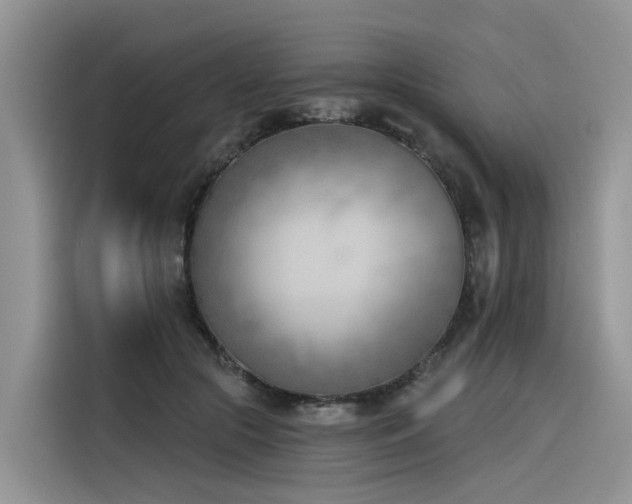 X0000116380553200912021522