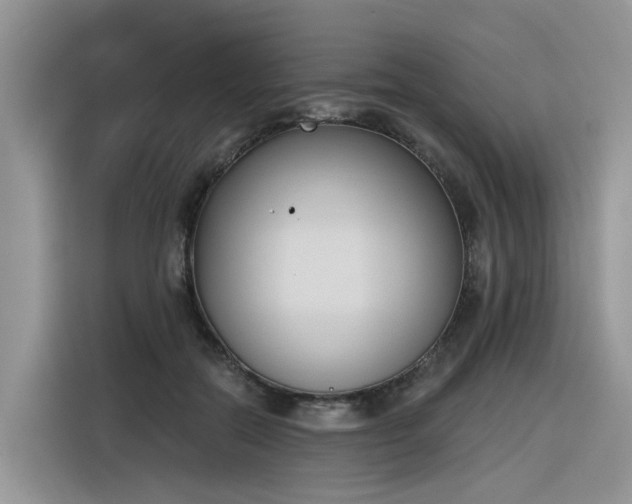 X0000116380554200912021522