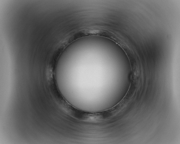 X0000116380555200912021522