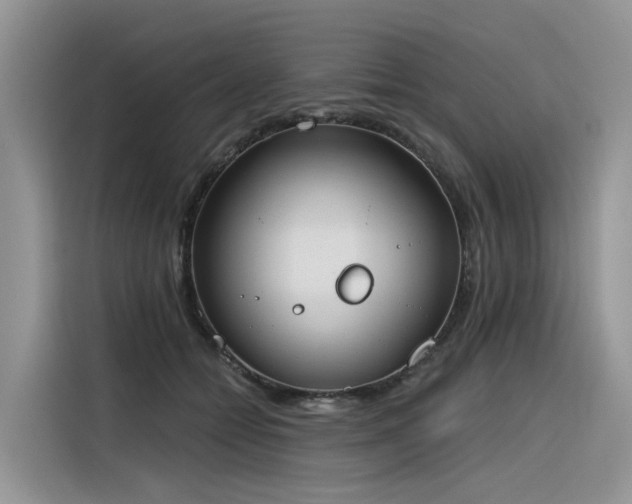 X0000116380558200912021522