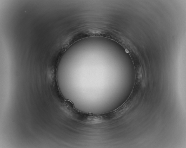 X0000116380559200912021522