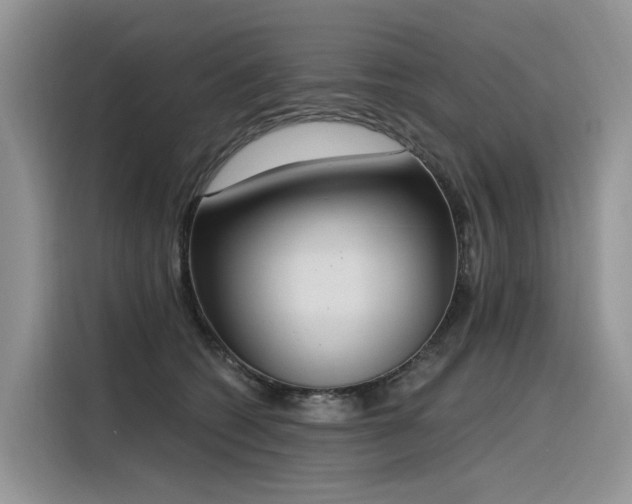 X0000116380562200912021522