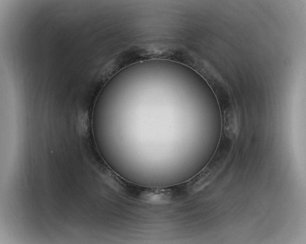 X0000116380563200912021522