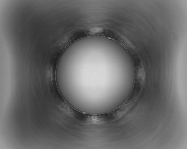 X0000116380565200912021522