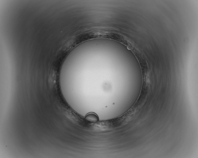 X0000116380567200912021522