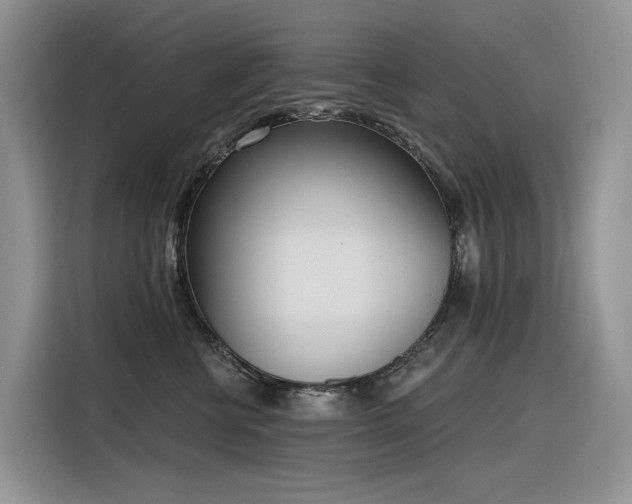 X0000116380570200912021522