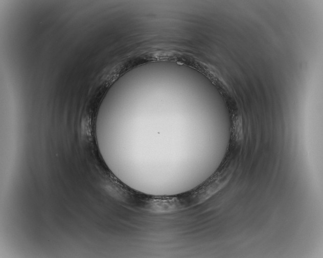 X0000116380571200912021522