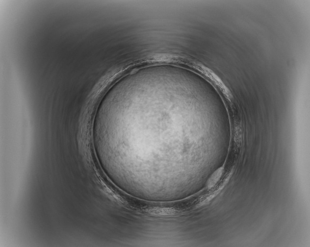 X0000116380577200912021521