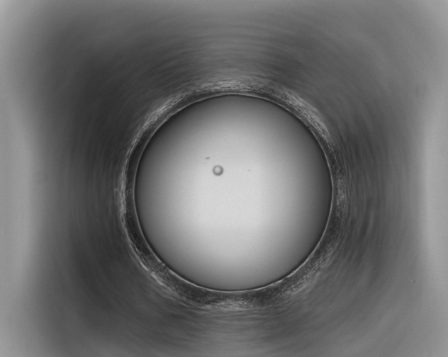 X0000116380578200912021521