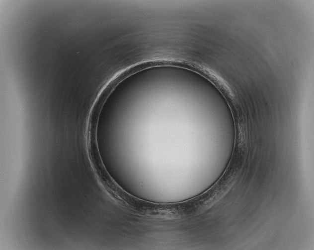 X0000116380580200912021521