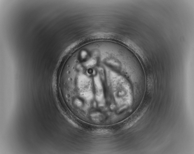 X0000116380581200912021521