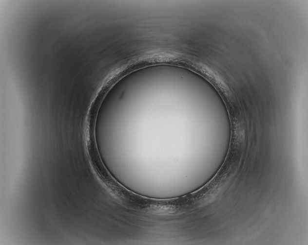 X0000116380582200912021521