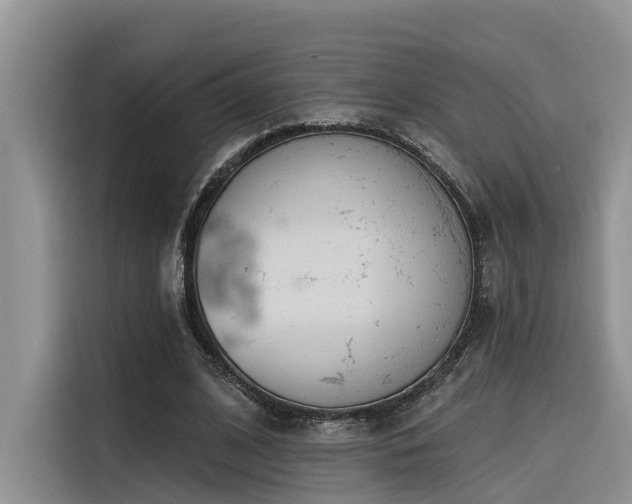 X0000116380584200912021521