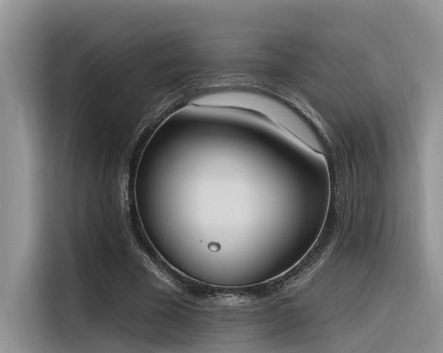 X0000116380585200912021521