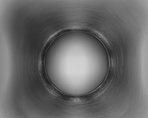 X0000116380588200912021521