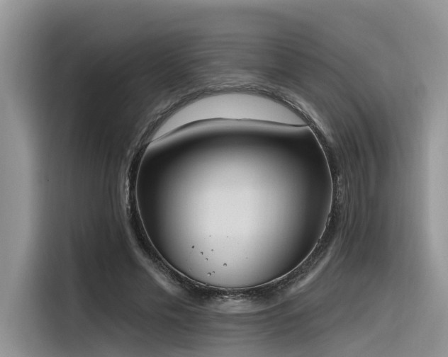 X0000116380589200912021521