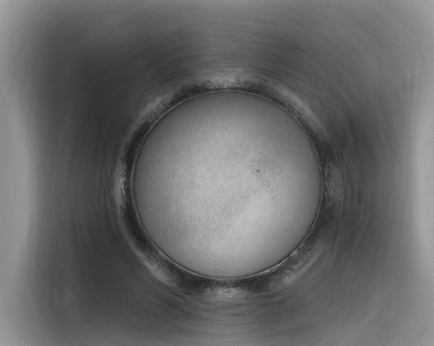 X0000116380590200912021521