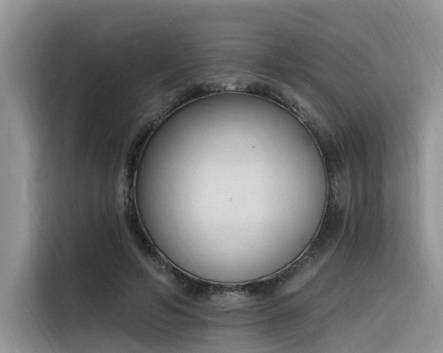 X0000116380594200912021521